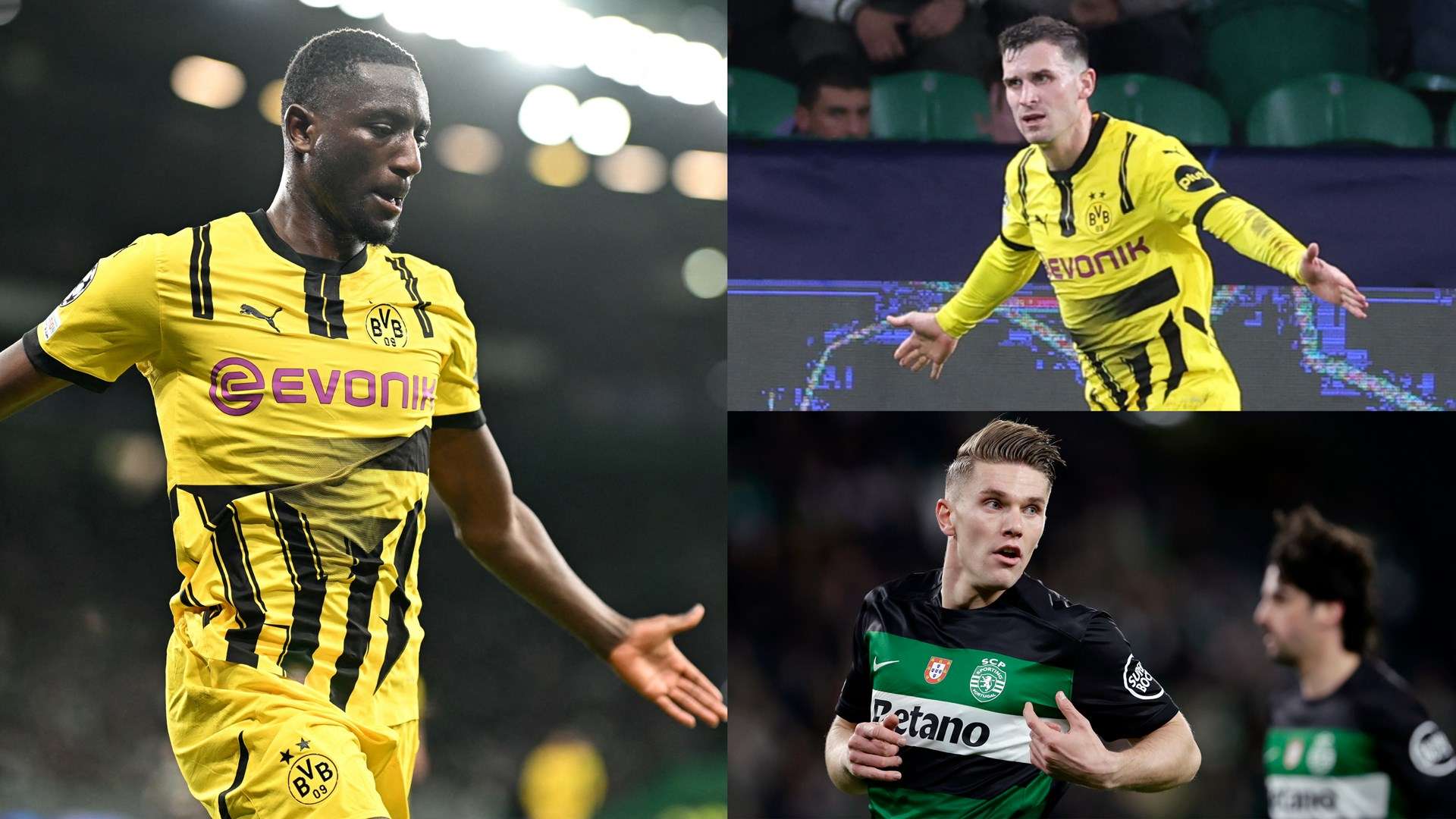 德布劳内的 德布劳内的